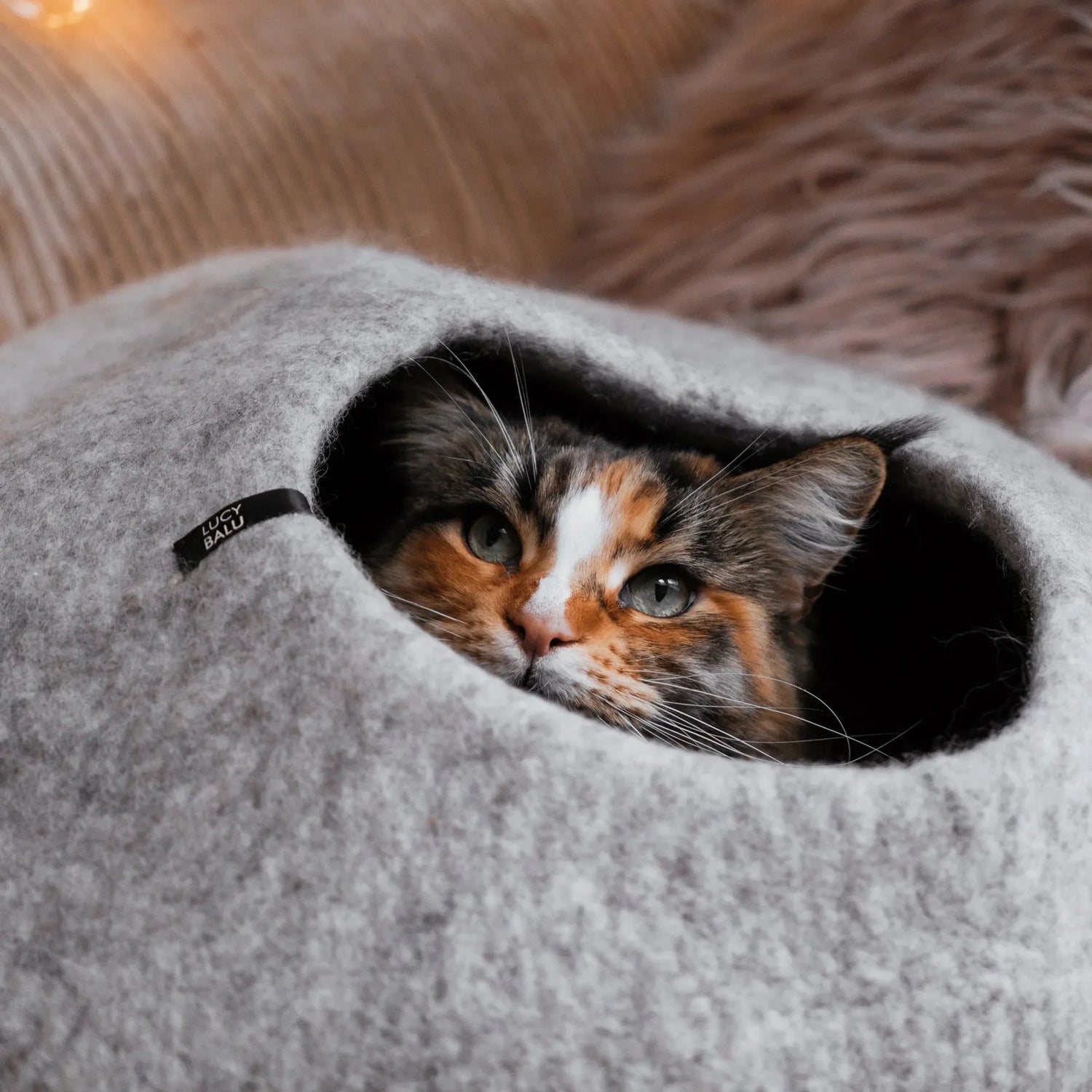 Katzenhöhle aus Filz | Kuschelige Schlafhöhle für Katzen