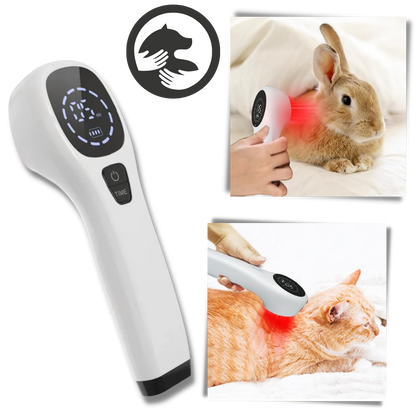 Fortgeschrittene Lasertherapie für Hunde - Nicht-invasive Schmerzlinderung bei Gelenkschmerzen, Arthritis &amp; Wundheilung