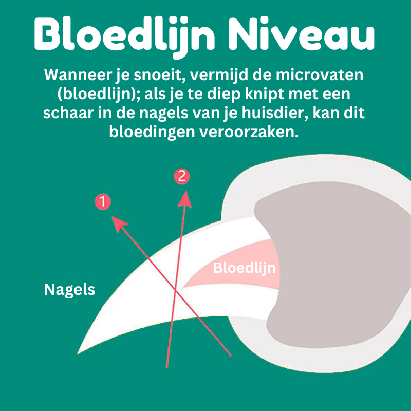 MAX Hund Nagelknipser mit Schnellsensoren - Sicher &amp; Schmerzfrei