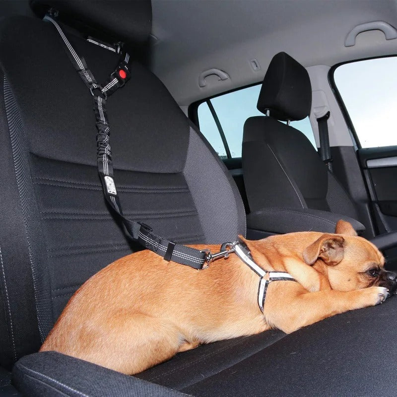 Hunde-Autosicherheitsgurt - Sicher &amp; Komfortabel - 360° Drehkarabiner