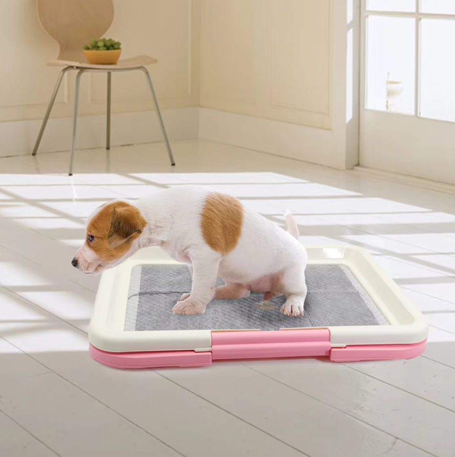 Hunde-WC Indoor - Rutschfeste Matte &amp; Hygienisch Für Innen