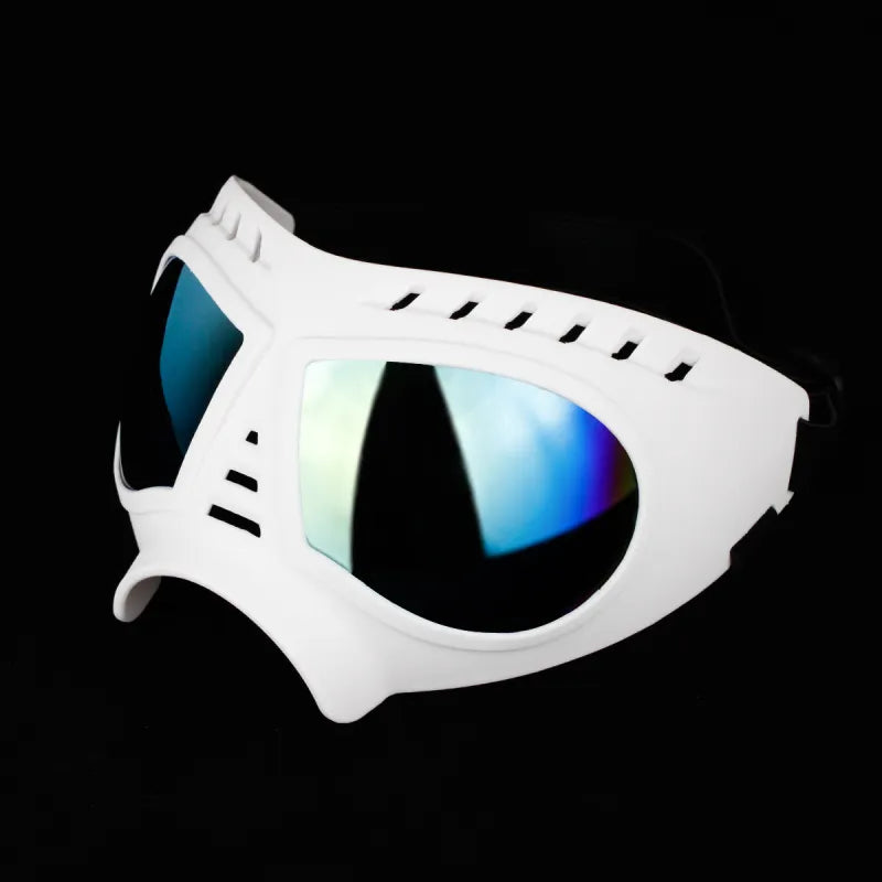 Hundeschutzbrille - UV-Schutz und Stil für Haustiere