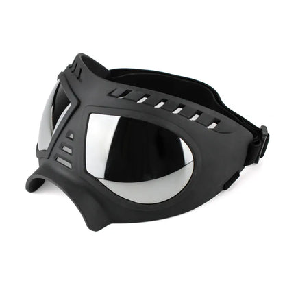 Hundeschutzbrille - UV-Schutz und Stil für Haustiere