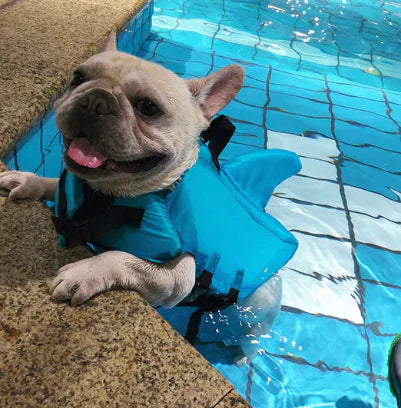 Schwimmweste für Hunde - Sicherheit und Komfort | Verstellbar