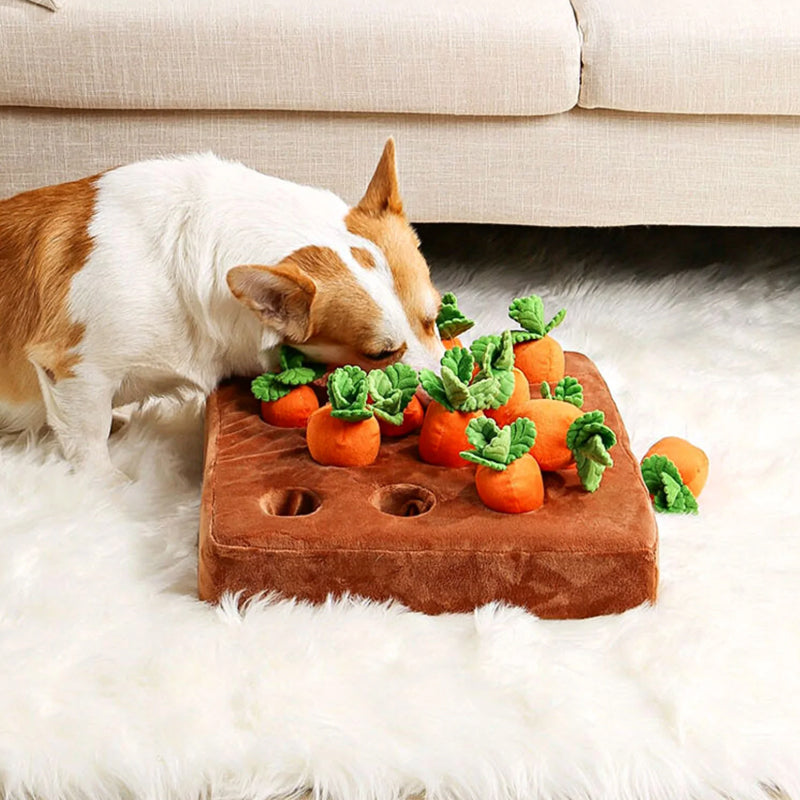 Interaktives Hundespielzeug - Schnüffelgarten Karotten