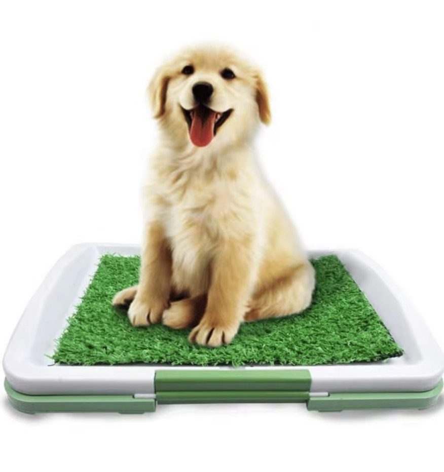 Hundetoilette mit Kunstrasen – Rutschfeste Matte für Zuhause