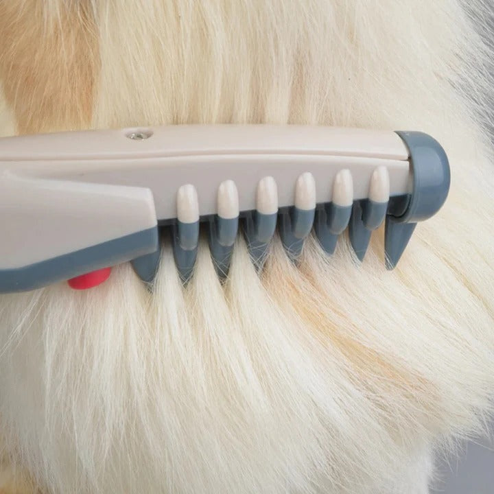Keine Knoten und Verwirrungen mehr für Ihr Haustier