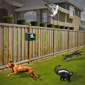 Specht Ultraschallvertreiber für effektive Vogelkontrolle - Befreien Sie sich von Spechten
