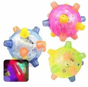 Neue Sprungaktivierungsball für Hunde