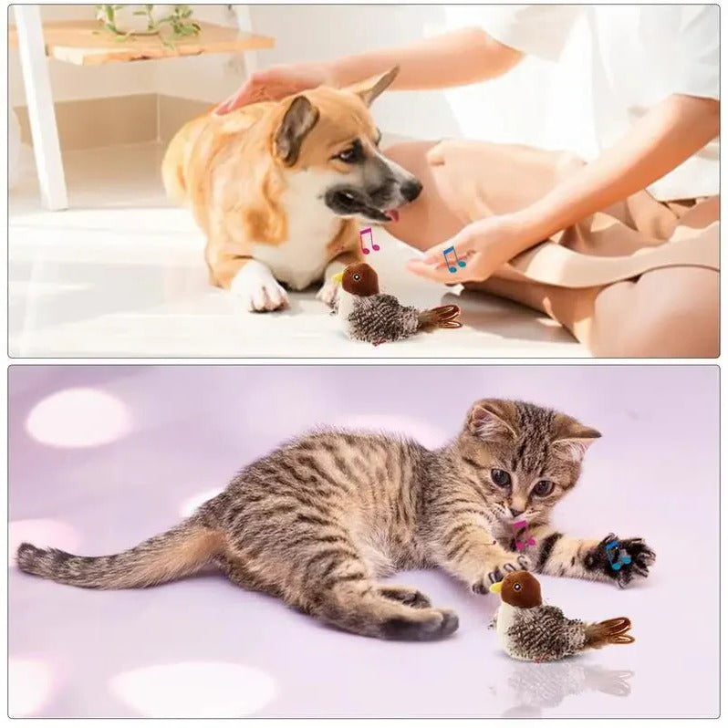 Interaktive Geräusch Vogel Katzenspielzeug - Flatternde Feder Unterhaltung für Wohnungskatzen