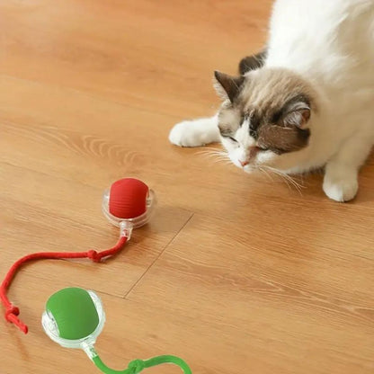 Interaktiver Katzenball mit Schwanz - Spielspaß für Ihre Katze