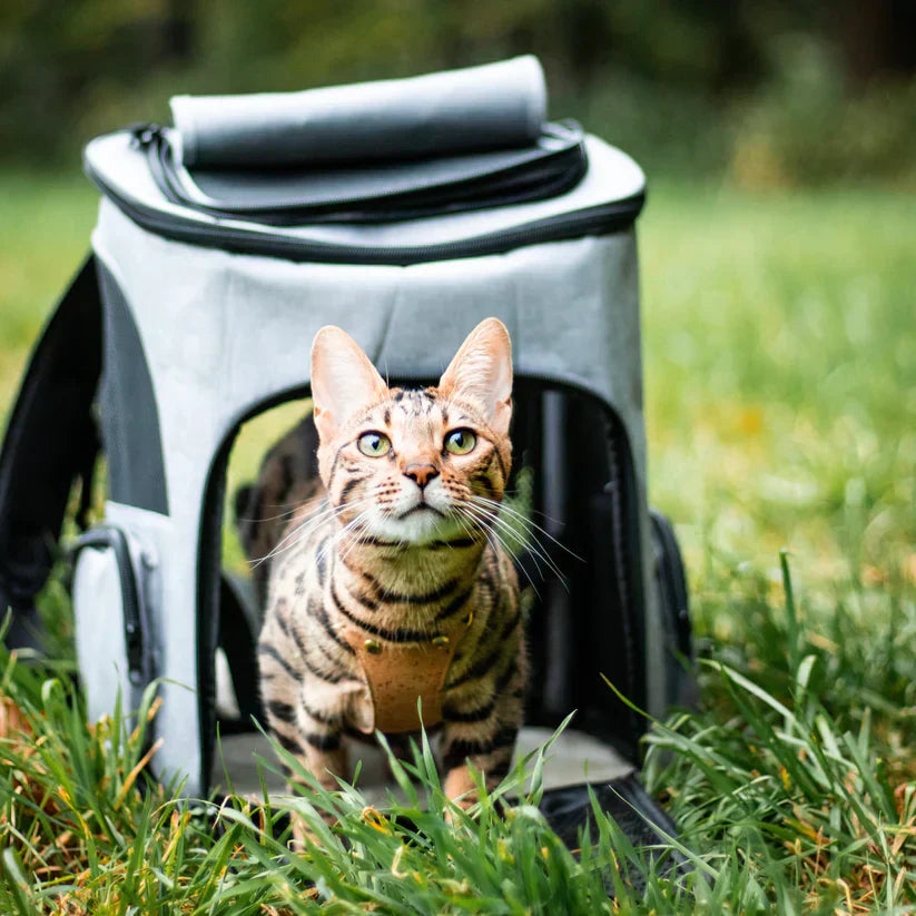 Katzenrucksack mit Belüftung - Komfortabel &amp; Stilvoll