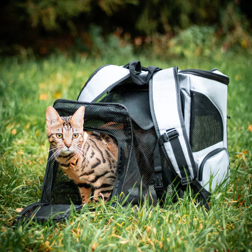 Katzenrucksack mit Belüftung - Komfortabel &amp; Stilvoll