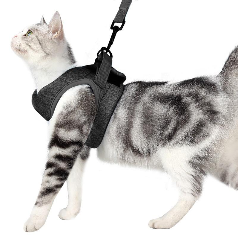 Katzen-Geschirr Set mit Anti-Ausbruchs-Mechanismus - Sicherheit &amp; Komfort