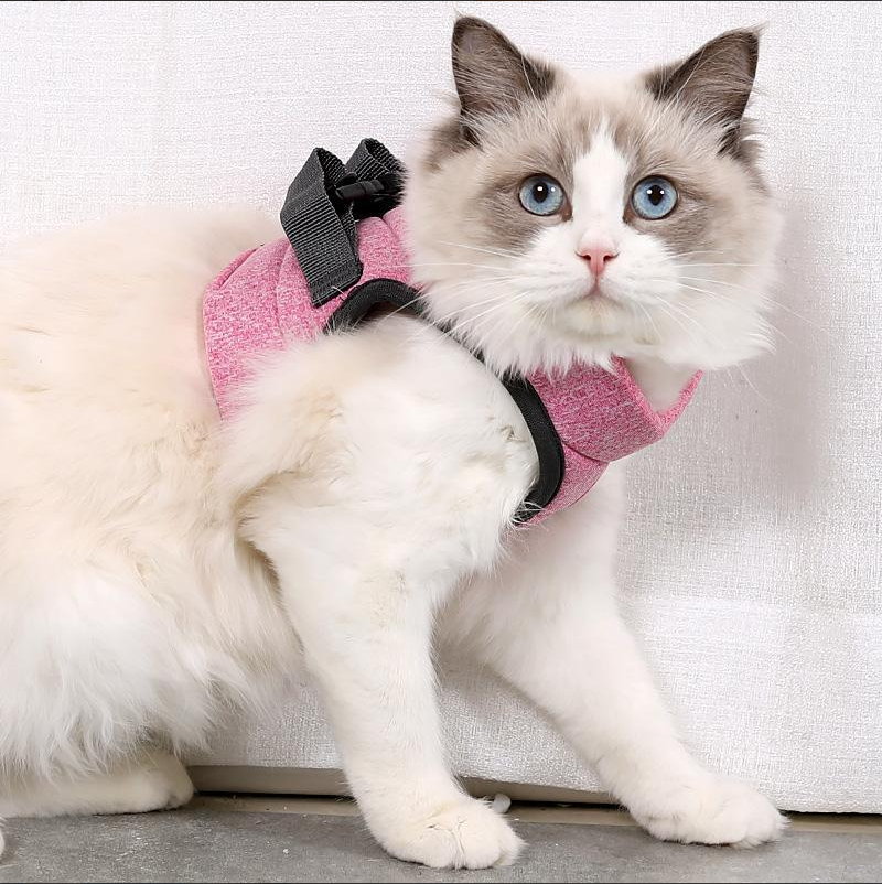 Katzen-Geschirr Set mit Anti-Ausbruchs-Mechanismus - Sicherheit &amp; Komfort