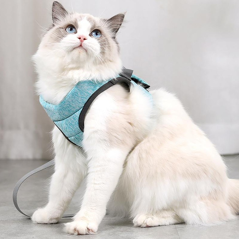 Katzen-Geschirr Set mit Anti-Ausbruchs-Mechanismus - Sicherheit &amp; Komfort