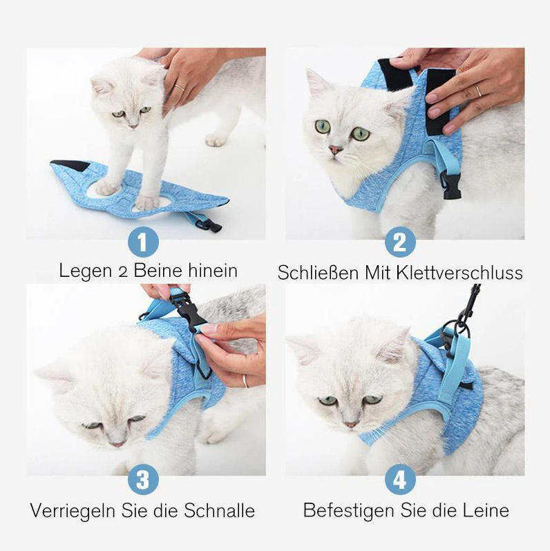 Katzen-Geschirr Set mit Anti-Ausbruchs-Mechanismus - Sicherheit &amp; Komfort