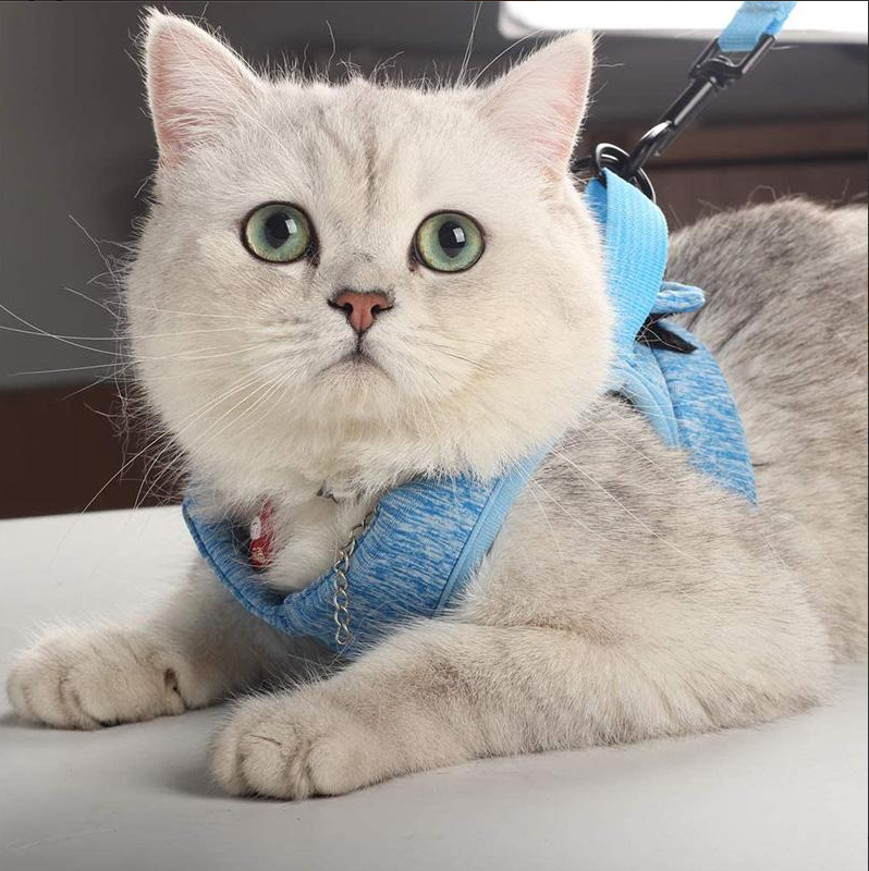 Katzen-Geschirr Set mit Anti-Ausbruchs-Mechanismus - Sicherheit &amp; Komfort