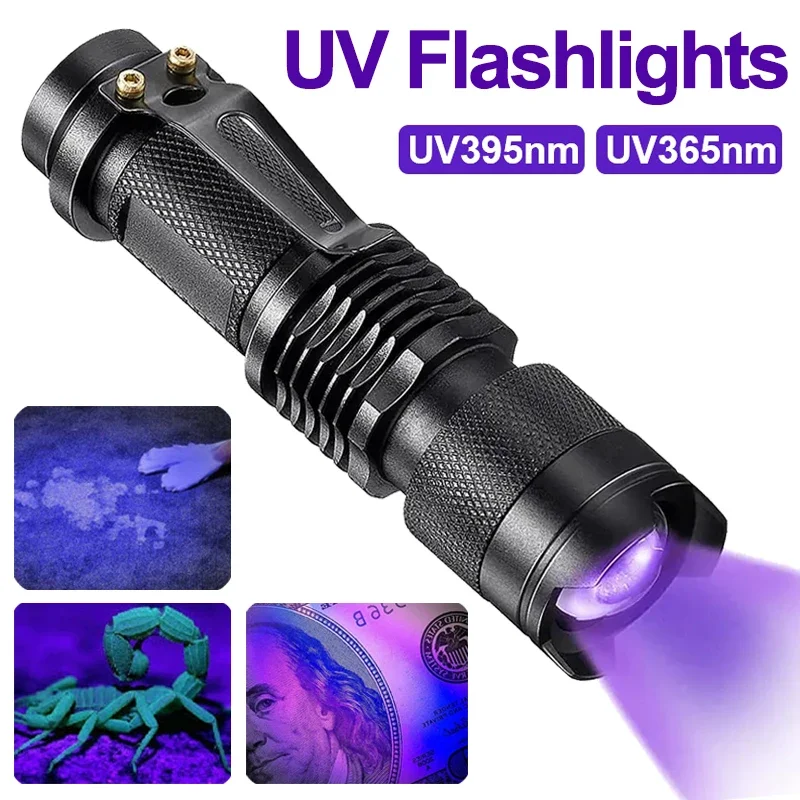 LED UV-Taschenlampe - Fleckenerkennung für Haustiere
