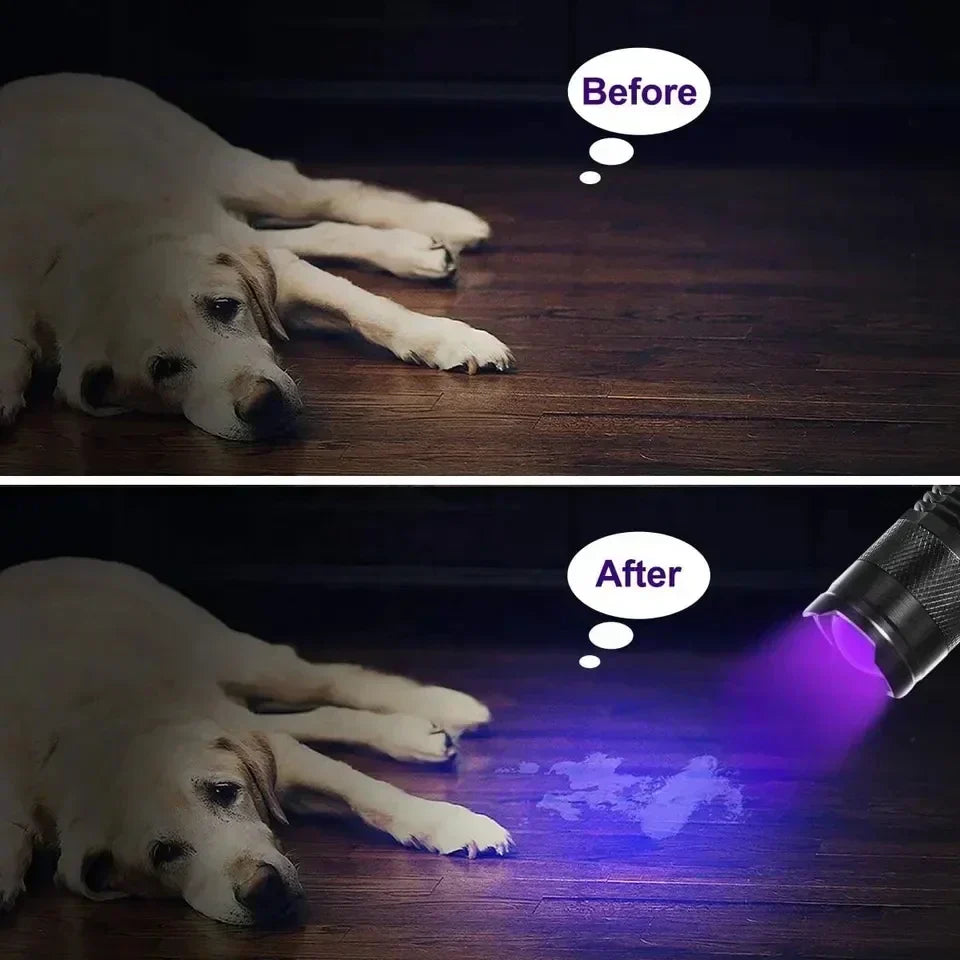 LED UV-Taschenlampe - Fleckenerkennung für Haustiere