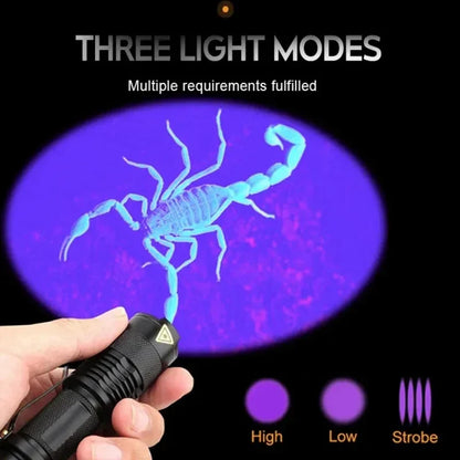 LED UV-Taschenlampe - Fleckenerkennung für Haustiere