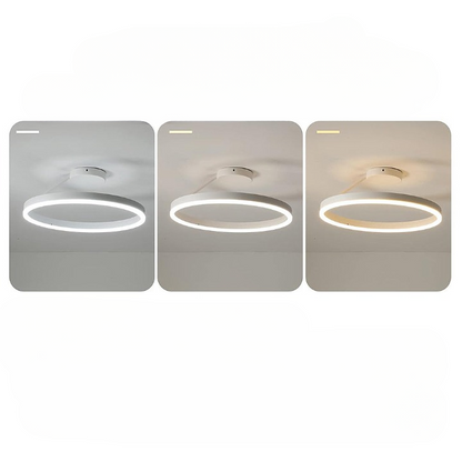 Moderne Nordische LED Deckenleuchte