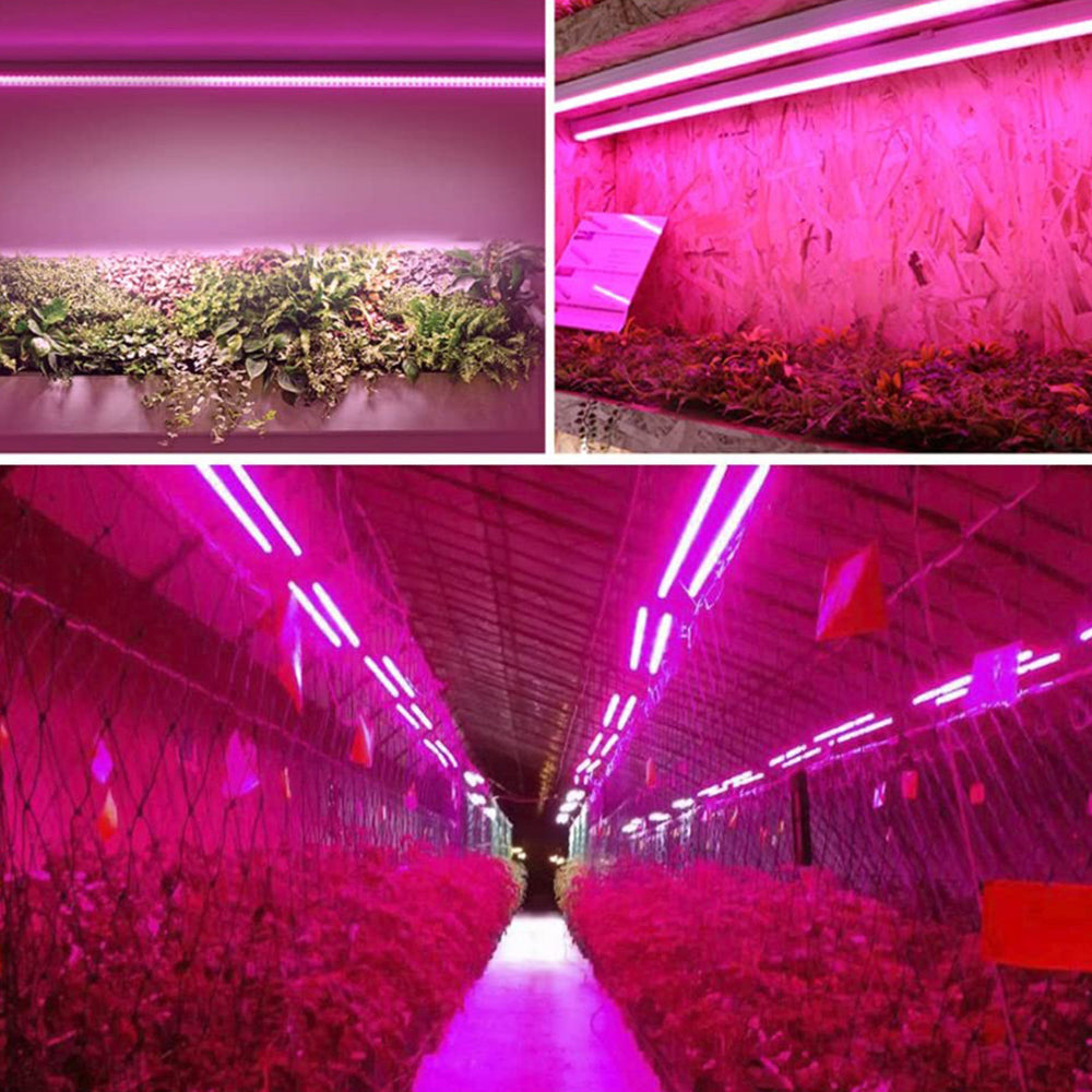 LED Pflanzenlampe - Vollspektrum - Zugschalter | Pflanzenwachstum