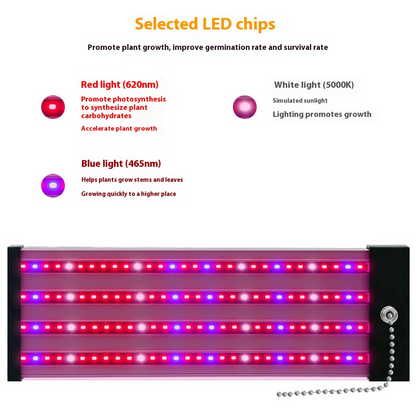 LED Pflanzenlampe - Vollspektrum - Zugschalter | Pflanzenwachstum