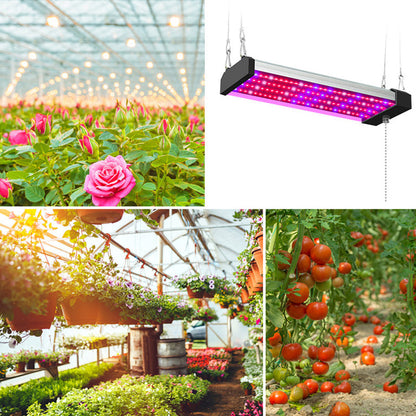 LED Pflanzenlampe - Vollspektrum - Zugschalter | Pflanzenwachstum