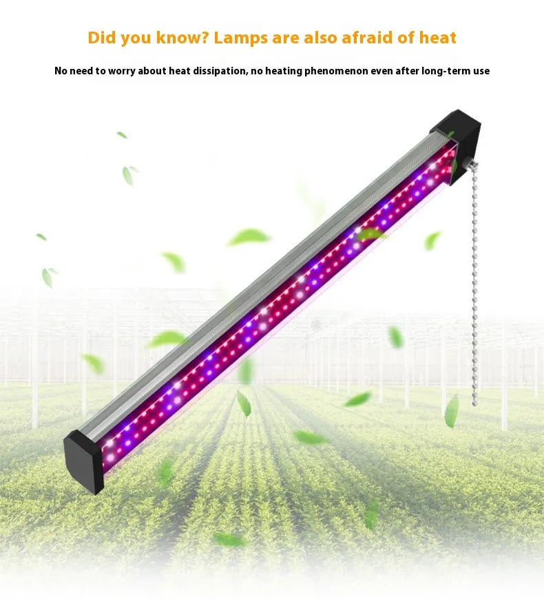 LED Pflanzenlampe - Vollspektrum - Zugschalter | Pflanzenwachstum