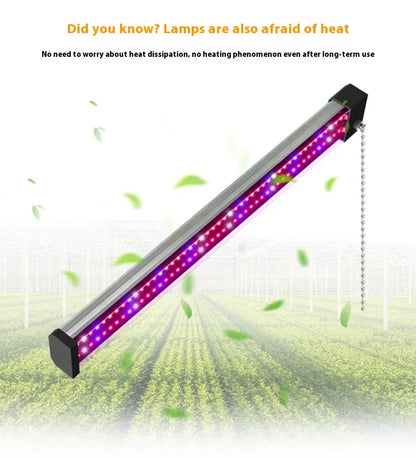 LED Pflanzenlampe - Vollspektrum - Zugschalter | Pflanzenwachstum