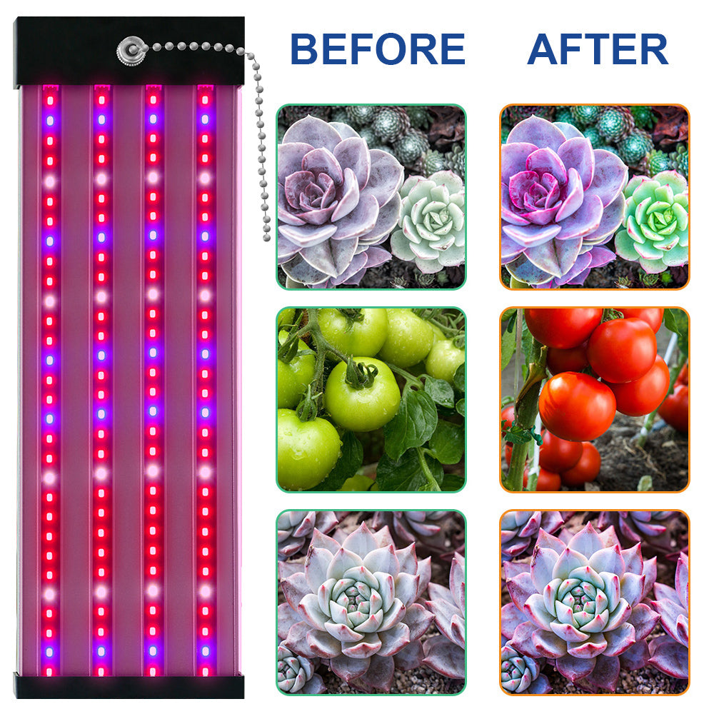 LED Pflanzenlampe - Vollspektrum - Zugschalter | Pflanzenwachstum