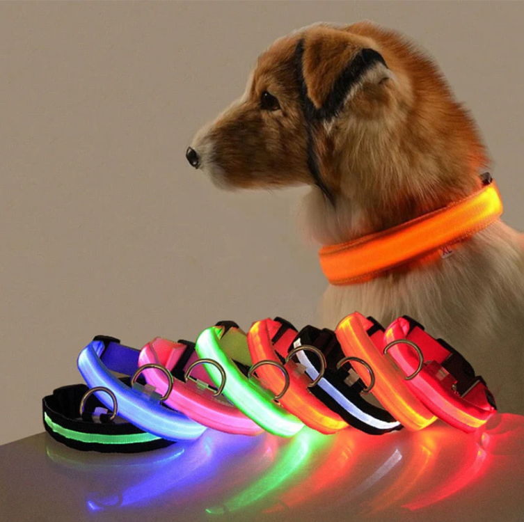 LED Hundehalsband - Sicherheit &amp; Style für Nachtausflüge
