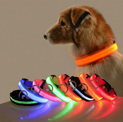 LED Hundehalsband - Sicherheit &amp; Style für Nachtausflüge