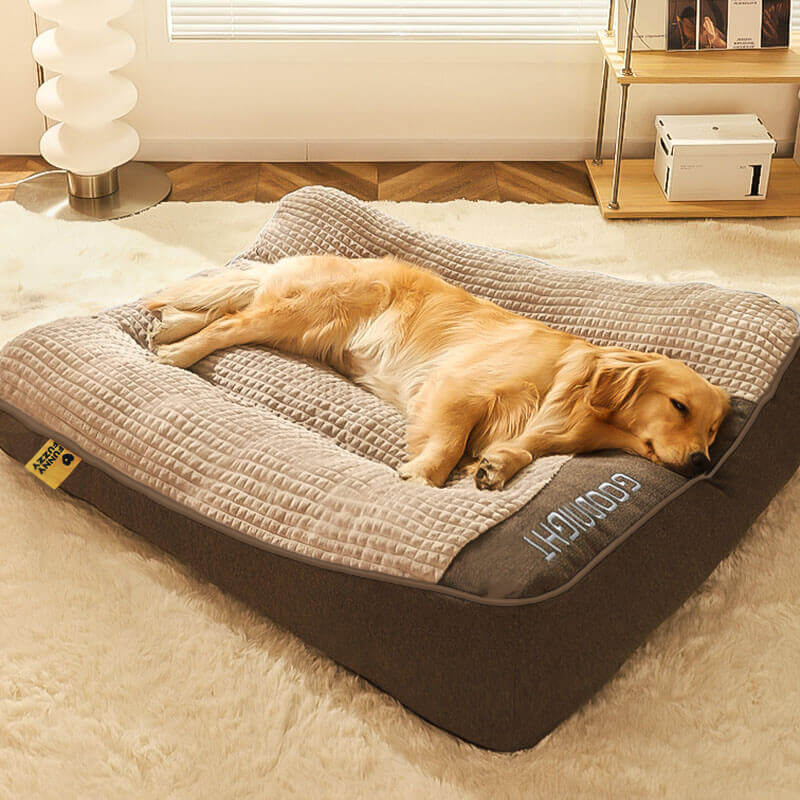 Hundebett mit Wirbelsäulenschutz - Groß und Kratzfest