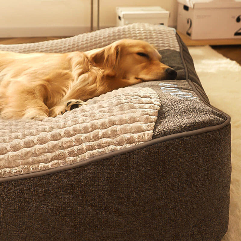 Hundebett mit Wirbelsäulenschutz - Groß und Kratzfest