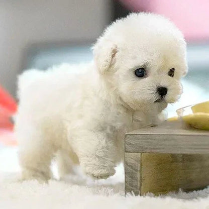 Interaktiver Plüschhund - Beweglicher Welpe für Kinder &amp; Senioren