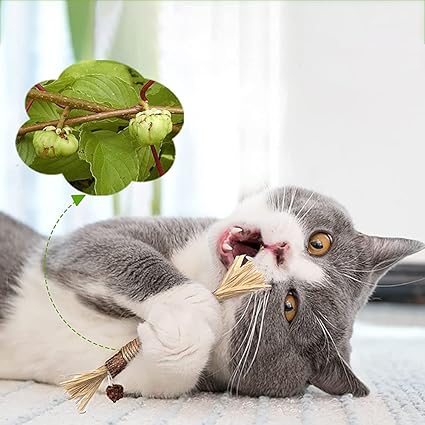 Natürliche Kitty Zahnreinigungs Sticks - Zahnpflege Katzenspielzeug