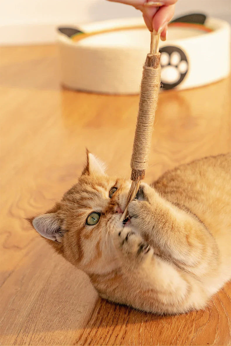 Natürliche Kitty Zahnreinigungs Sticks - Zahnpflege Katzenspielzeug