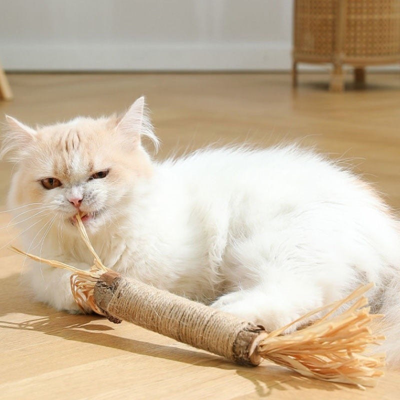 Natürliche Kitty Zahnreinigungs Sticks - Zahnpflege Katzenspielzeug