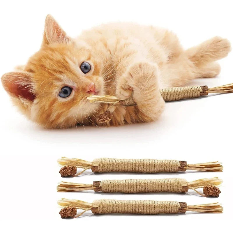 Natürliche Kitty Zahnreinigungs Sticks - Zahnpflege Katzenspielzeug
