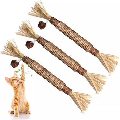 Natürliche Kitty Zahnreinigungs Sticks - Zahnpflege Katzenspielzeug