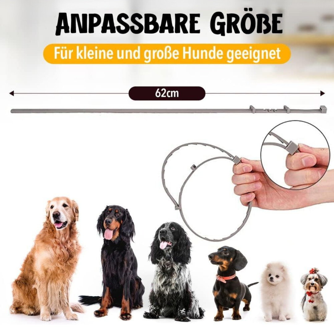 Natürlicher Zecken- und Flohschutz für Hunde