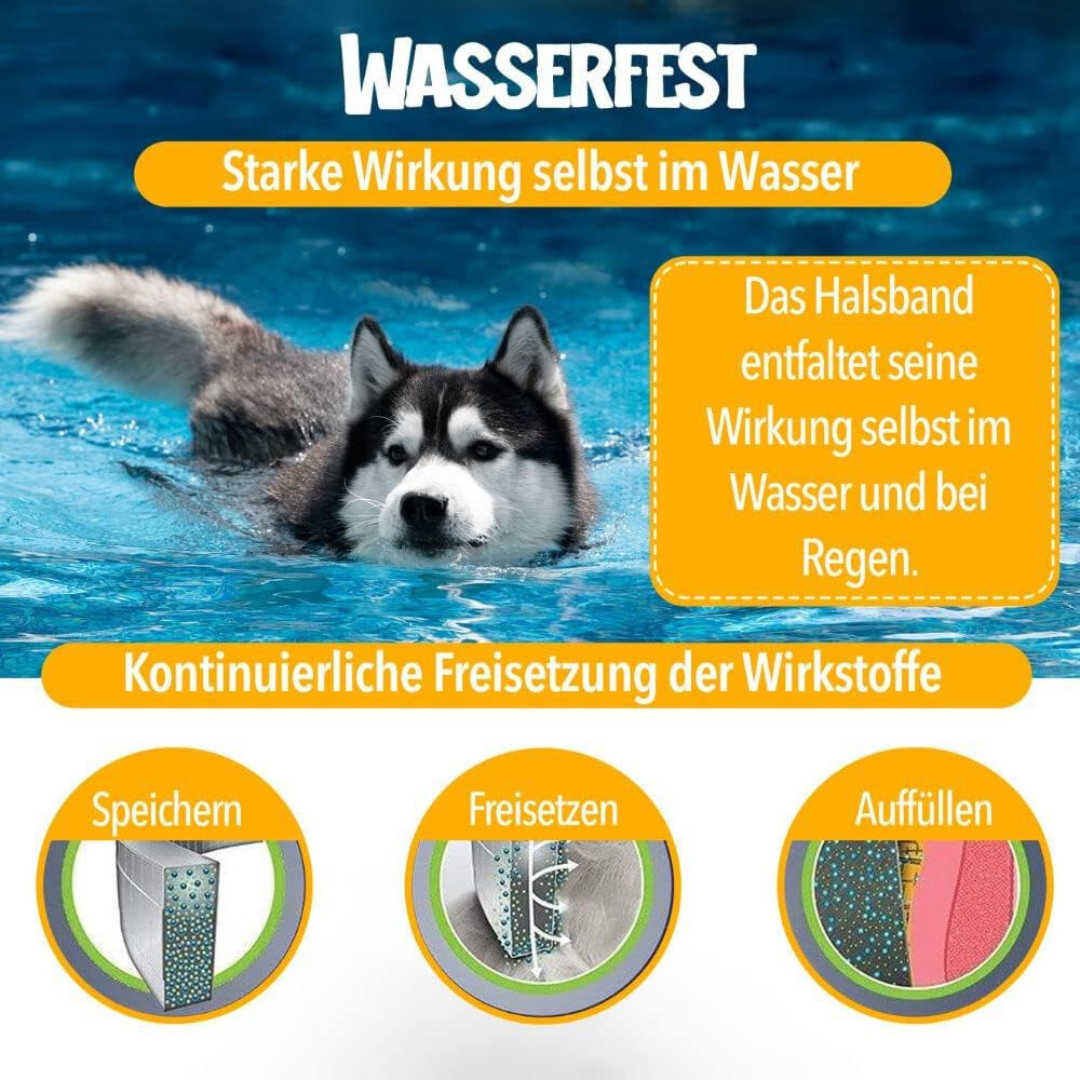 Natürlicher Zecken- und Flohschutz für Hunde