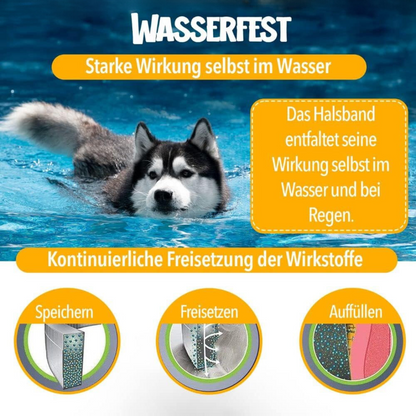 Natürlicher Zecken- und Flohschutz für Hunde