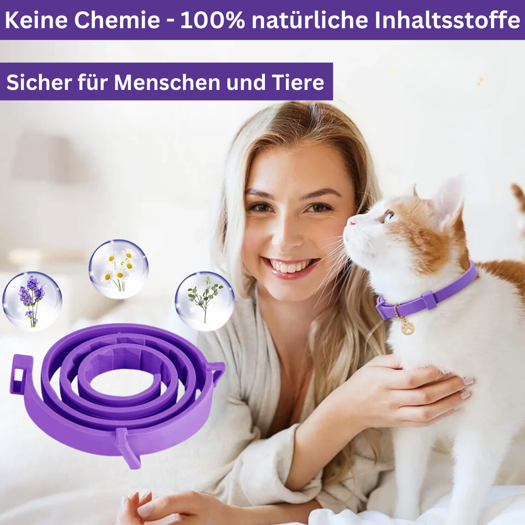 Pheromon Beruhigungs-Halsband für Hunde &amp; Katzen - Natürlich &amp; Wasserfest