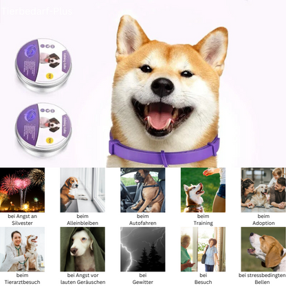 Pheromon Beruhigungs-Halsband für Hunde &amp; Katzen - Natürlich &amp; Wasserfest