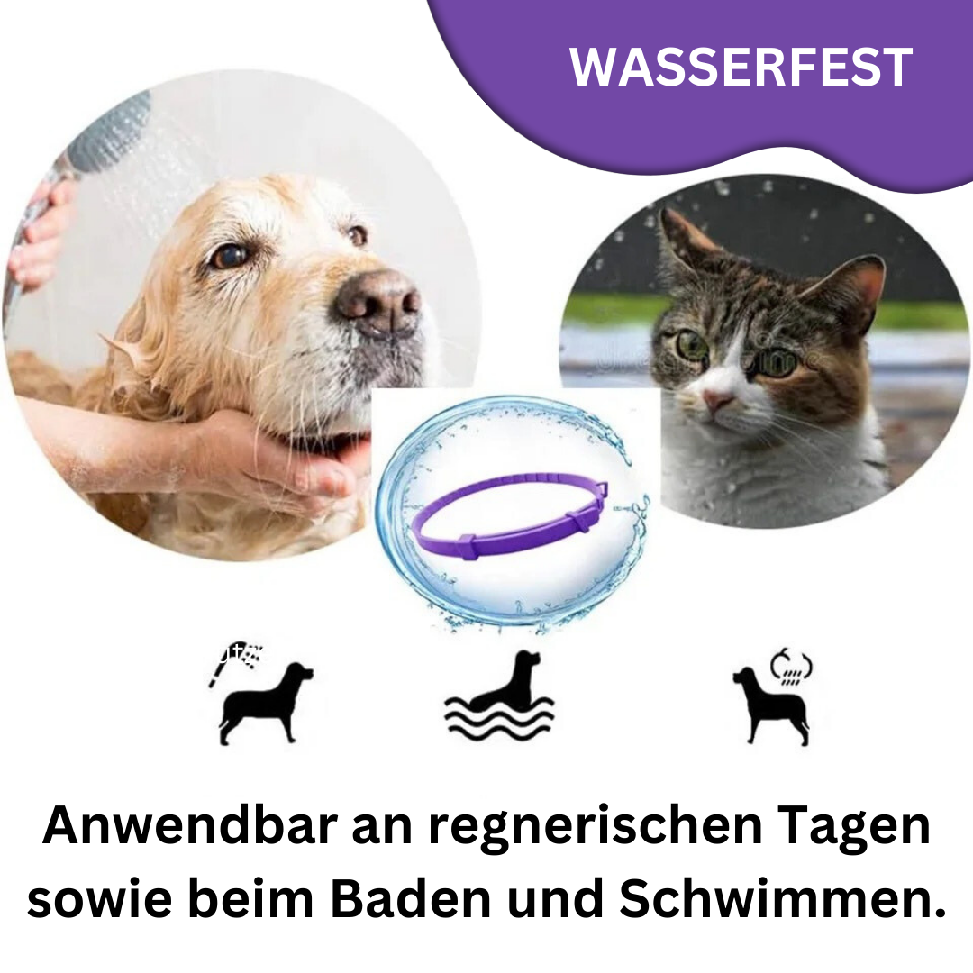 Pheromon Beruhigungs-Halsband für Hunde &amp; Katzen - Natürlich &amp; Wasserfest