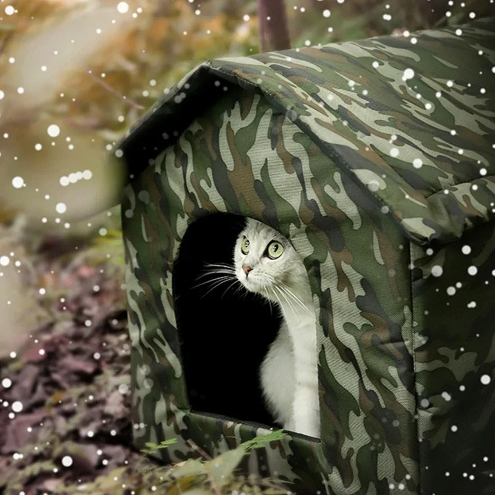 Nische für Katze im Freien Winter