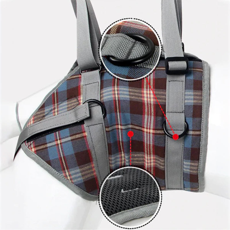 Orthopädischer Hundegurt - Unterstützung &amp; Stabilität